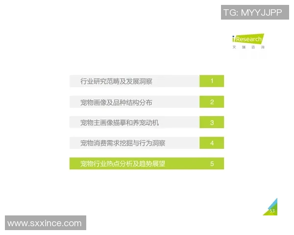 北京乒乓球队近期状态深度对比分析与未来发展趋势探讨