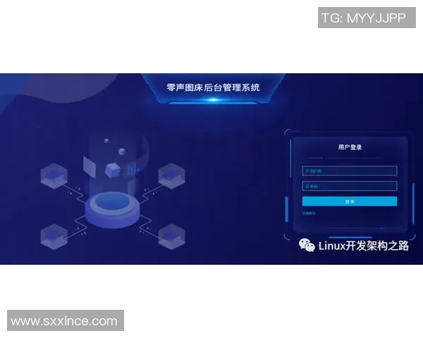 从零基础到飞盘高手的全面指南与实战技巧分享