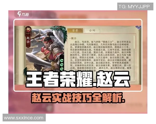 从零起步掌握王者荣耀全英雄全玩法攻略秘籍详解