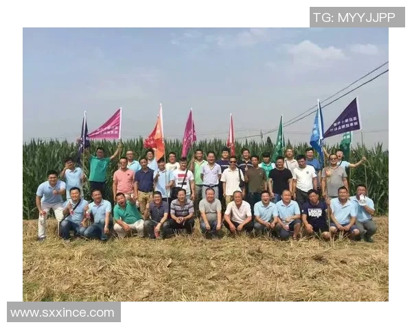 南京乒乓球队重塑辉煌之路的反击革新与未来展望