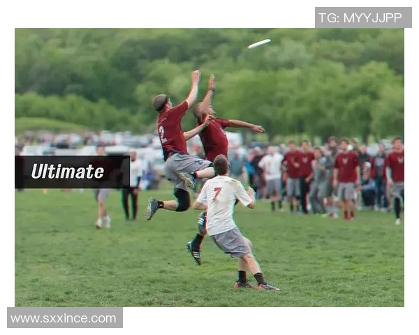 南京飞盘队阵地战分析：胜负背后的战术与团队协作探讨