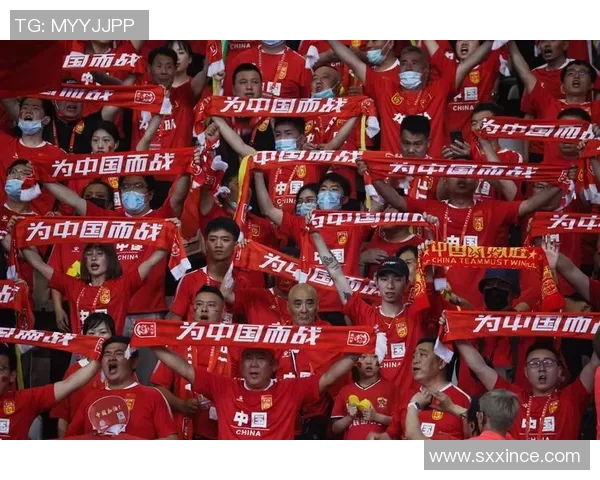 南京足球队灵活性引发热议球迷与专家各执己见的背后故事