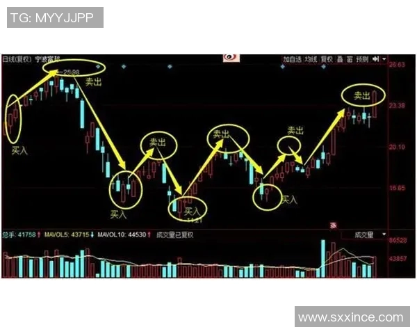 独家解析：北京滑板队协作技巧与战术对比分析