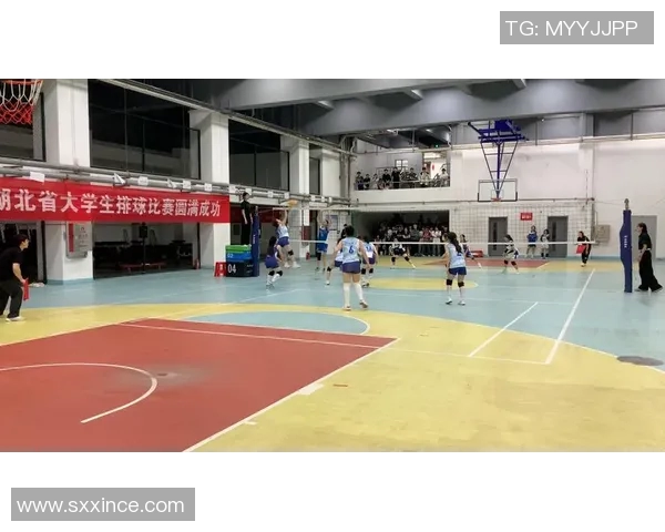 武汉排球队逆袭之旅的真实记录与奋斗精神的展现