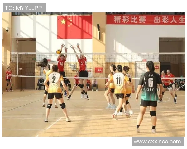 重庆排球队在全国排球灵活性排行榜中荣登第九名展现出色竞技实力