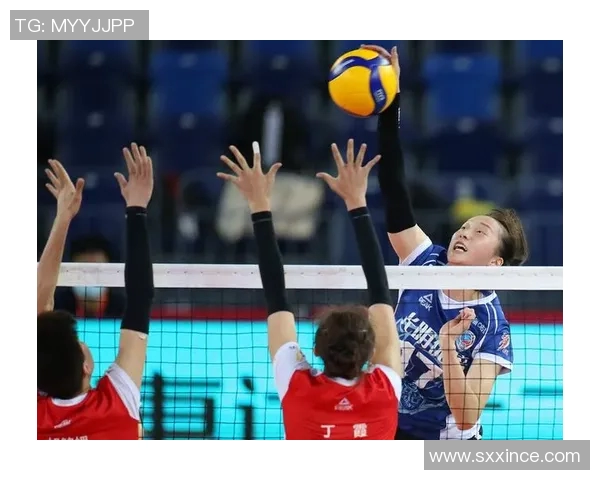 上海排球队技术争议引发热议球迷与专家各执己见探讨战术选择