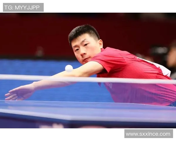 从零基础到乒乓球耐力提升全攻略助你成为乒乓高手