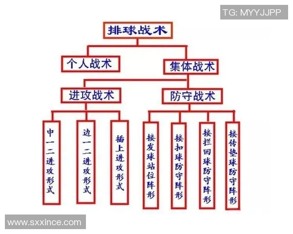 北京排球队整体压制战术解析与对手应对策略探讨
