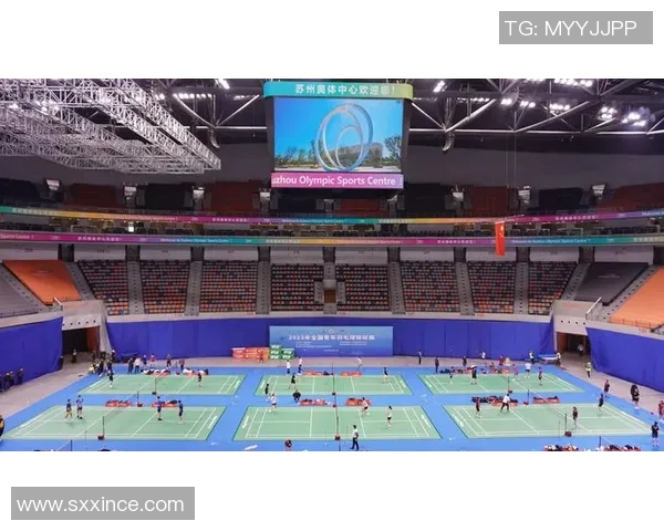 南京羽毛球队的成长历程与锦标赛辉煌成就的特别报道