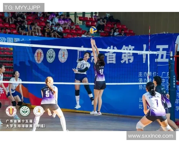 广州排球队在排球比赛中取得新突破经验排名创新高引发关注