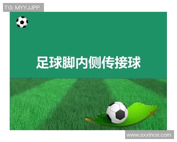 成都足球队的运营体系与战术创新探讨及其对足球发展的影响