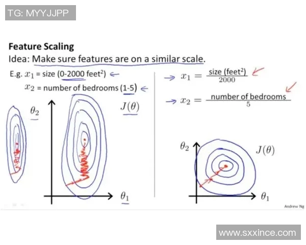 深入探讨成都排球队近期状态表现与数据分析的综合研究
