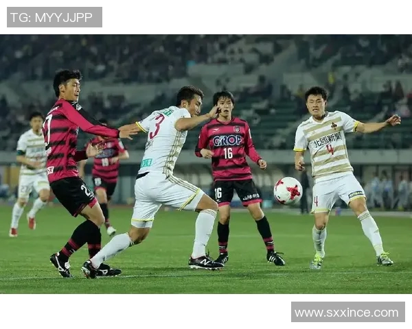 金泽对阵横滨精彩视频直播全程回顾与赛后分析