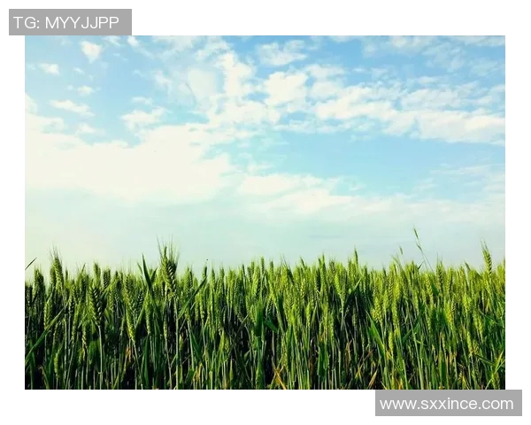 萨林杰的文学世界与心灵探索：从麦田里的守望者看其独特的创作风格与人生哲学