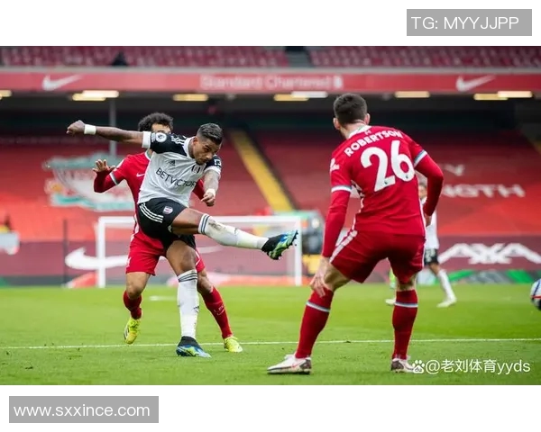 塞尔维亚与阿根廷的激战解析谁将赢得这场足球盛宴