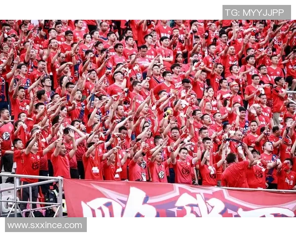 深圳佳兆业迎战辽宁队全力争胜期待精彩对决与球迷共同见证比赛盛况