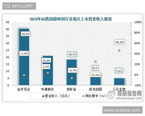 赖斯的外交策略与全球影响力分析：从历史到未来的深度探讨