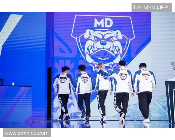 BLG成长之路：挑战者杯背后的奋斗与荣耀故事