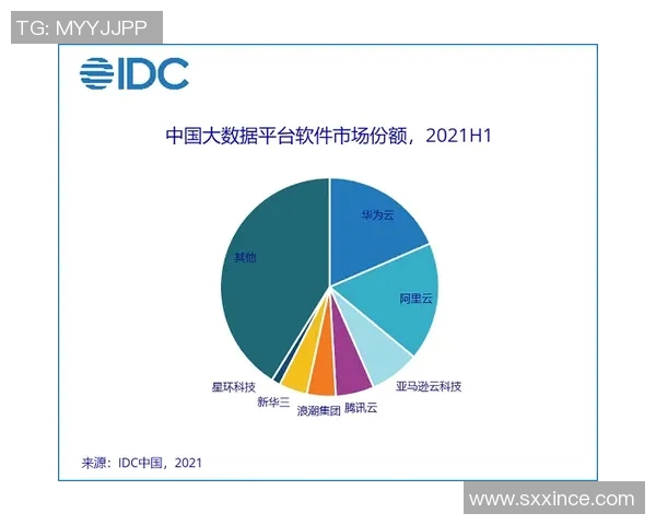 数据分析揭示WE在各项赛事中的速度表现及其影响因素探讨