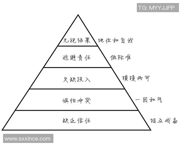 武汉排球队的团队协作精神与排球竞技的完美结合探讨